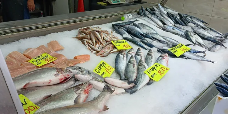 Palamut bolluğu vatandaşın yüzünü güldürüyor