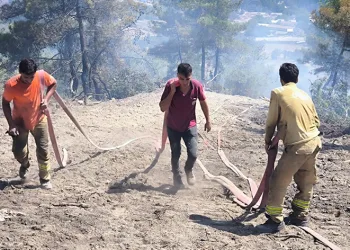 Bolu’daki orman yangını kontrol altına alındı