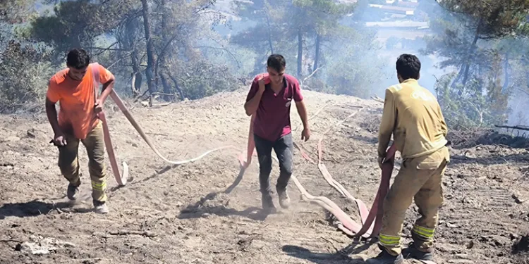 Bolu’daki orman yangını kontrol altına alındı