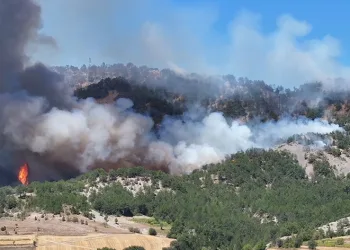 Ateş savaşçısı o anları anlattı