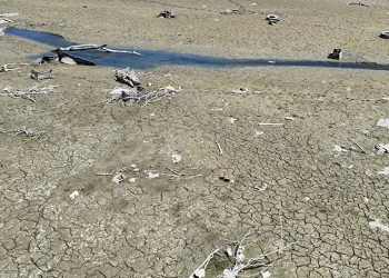 İstanbul’un barajlarında doluluk oranları düştü