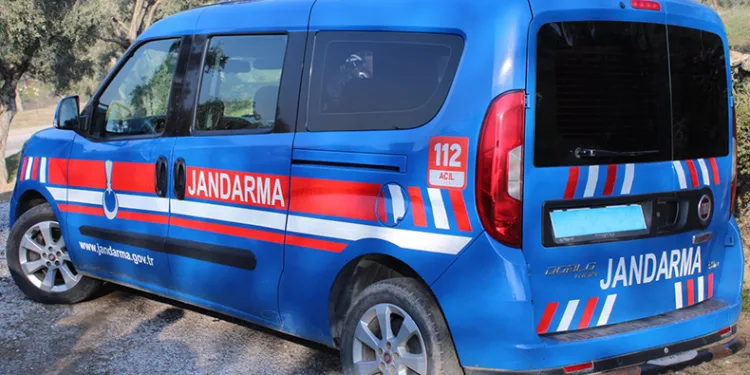 Jandarma incir hırsızlarına göz açtırmıyor