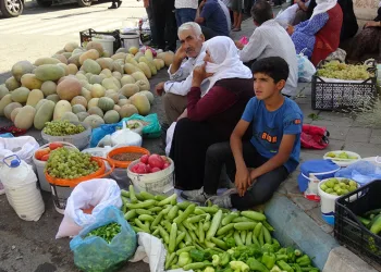 Organik ürünlerdeki bereket fiyatları düşürdü
