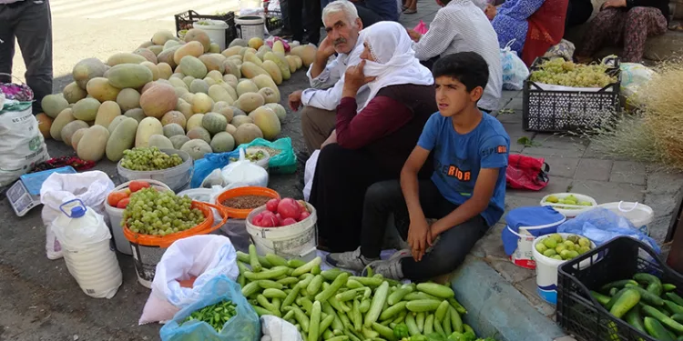 Organik ürünlerdeki bereket fiyatları düşürdü