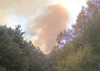 Afyonkarahisar’da orman yangını sürüyor