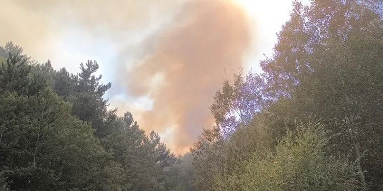 Afyonkarahisar’da orman yangını sürüyor