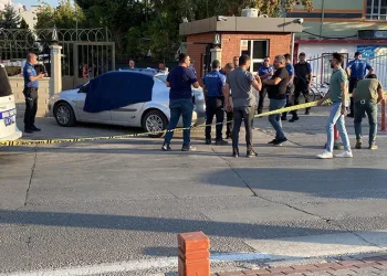 Annesinin ölümüne oğlu şahit oldu