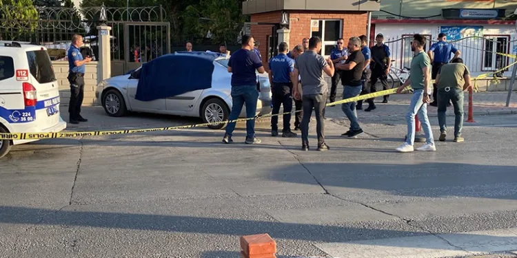 Annesinin ölümüne oğlu şahit oldu