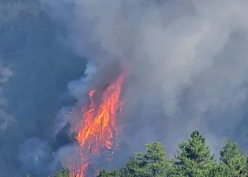 Karabük’teki orman yangını artırıyor