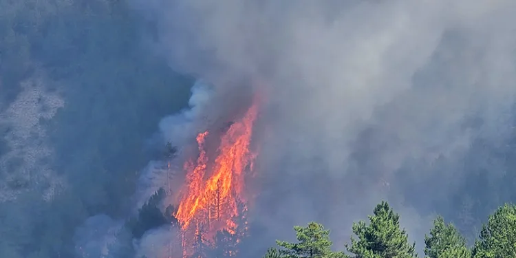 Karabük’teki orman yangını artırıyor