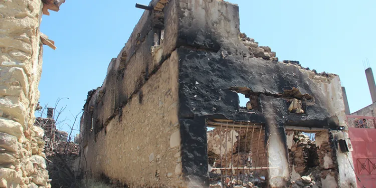 Orman yangınında yaşadıkları dehşeti anlattılar