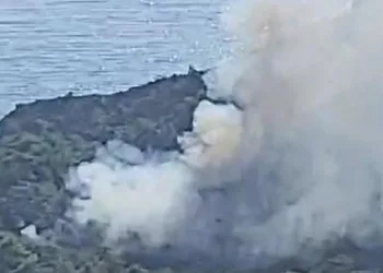 Muğla Datça’da da orman yangını çıktı