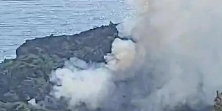 Muğla Datça’da da orman yangını çıktı