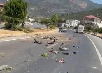 Kontrolden çıkan otomobil ağaçları devirip karşı şeride geçti