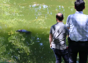 Porsuk Çayı’ndan ceset çıktı