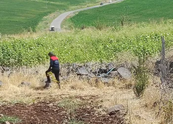 Diyarbakır’da kayıp 8 yaşındaki kız aranıyor