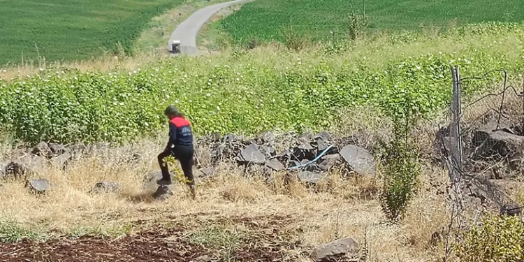 Diyarbakır’da kayıp 8 yaşındaki kız aranıyor