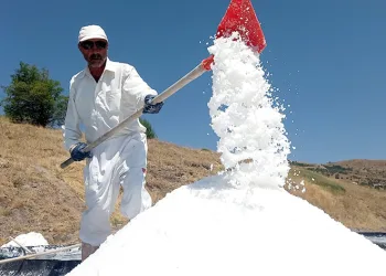 İnsan sağlığına yararlı mineraller bulunuyor