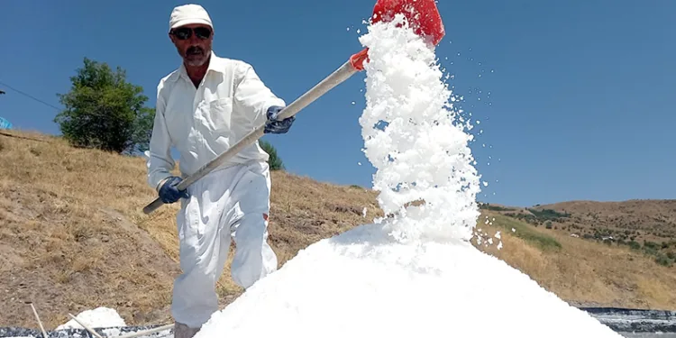 İnsan sağlığına yararlı mineraller bulunuyor