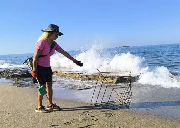 Caretta yavruları plastik bardakların içinde telef oluyor