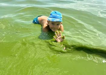 Çıldır Gölü yeşil renge büründü