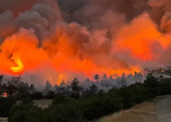 Uşak’taki orman yangınına müdahale sürüyor