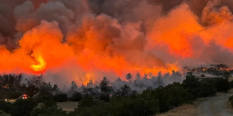 Uşak’taki orman yangınına müdahale sürüyor