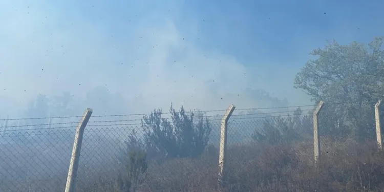 Yalova’da çıkan yangın büyümeden söndürüldü