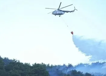 İzmir’in 3 ilçesi yanıyor
