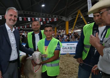 İnegöl’de tavuklar ve koçlar podyuma çıkacak