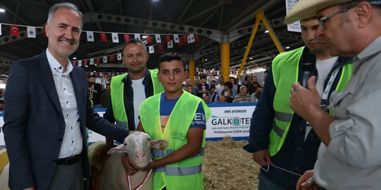İnegöl’de tavuklar ve koçlar podyuma çıkacak