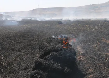 Çiftçinin umudu kül oldu