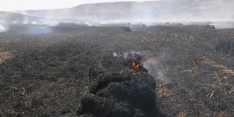 Çiftçinin umudu kül oldu