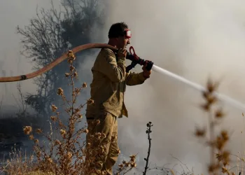 OGM ateş yakmayı yasakladı