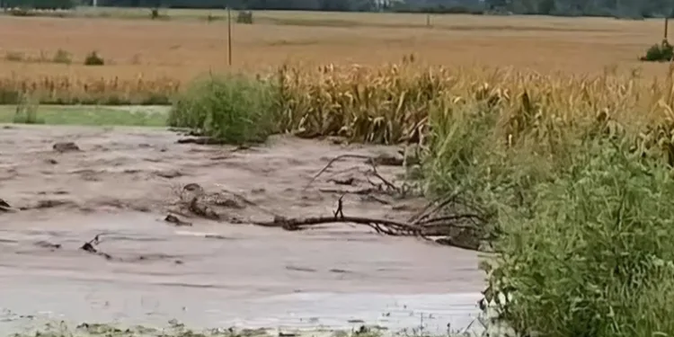 Su kanalı patladı, tarım arazileri su altında kaldı