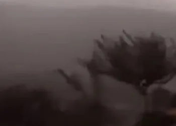 Elazığ’da fırtına etkili oldu