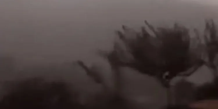 Elazığ’da fırtına etkili oldu