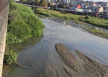 Alaplı çayı, çayıra döndü