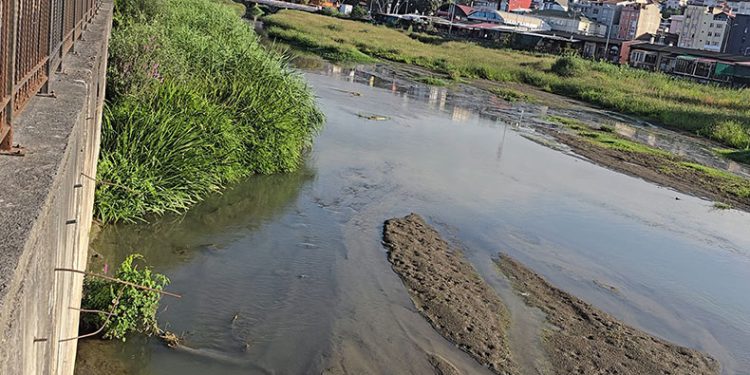 Alaplı çayı, çayıra döndü