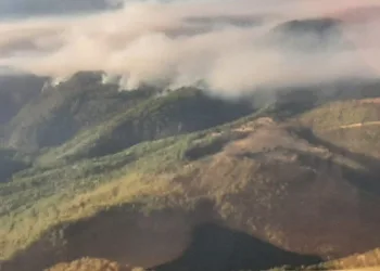 Manisa’daki orman yangınıyla mücadele devam ediyor