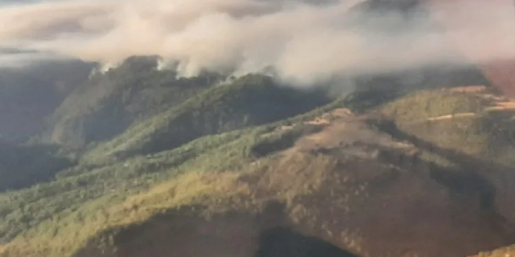 Manisa’daki orman yangınıyla mücadele devam ediyor