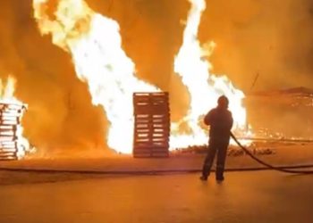 Palet fabrikasında çıkan yangının alevleri geceyi aydınlattı