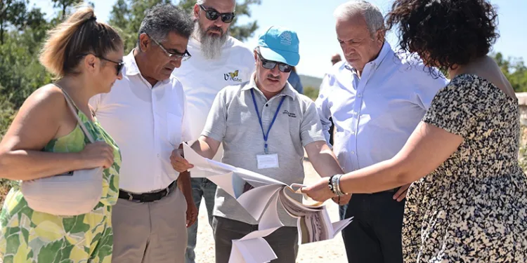 Şadi Özdemir, sokak hayvanları için hazırlanan projeyi inceledi