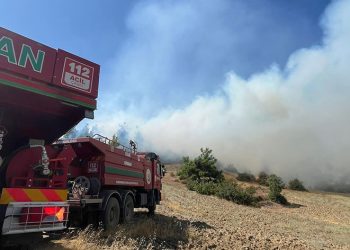 Kahramanmaraş’ta orman yangını