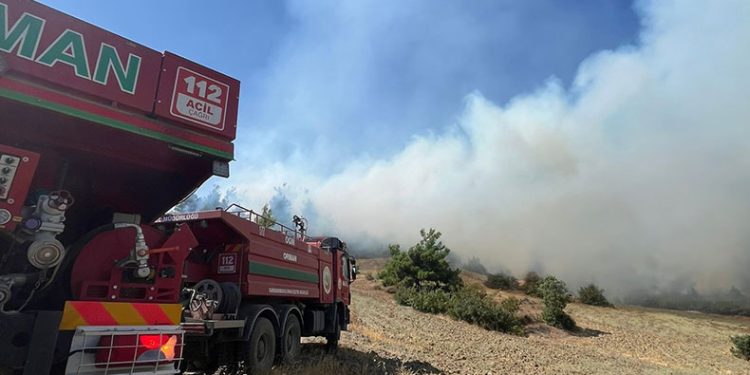 Kahramanmaraş’ta orman yangını