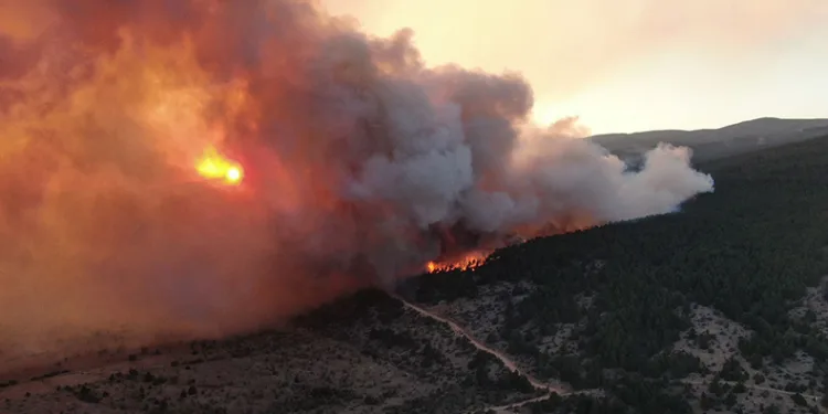 Çankırı’da orman yangını hızla büyüyor