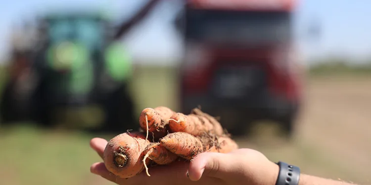 Lezzetini topraktan, kalitesini teknolojiden