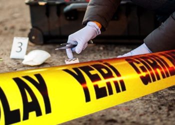 Parke taşıyla eşini öldürdü