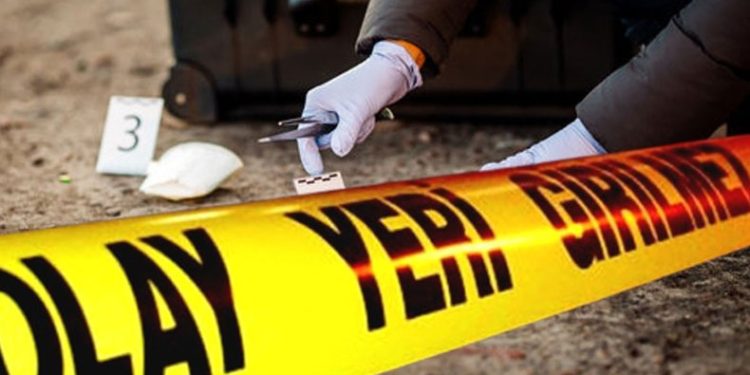 Parke taşıyla eşini öldürdü