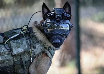 Mehmetçiğin arazideki gözü olacak